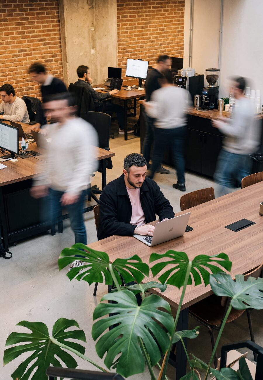 antony montefinese — bornwiz